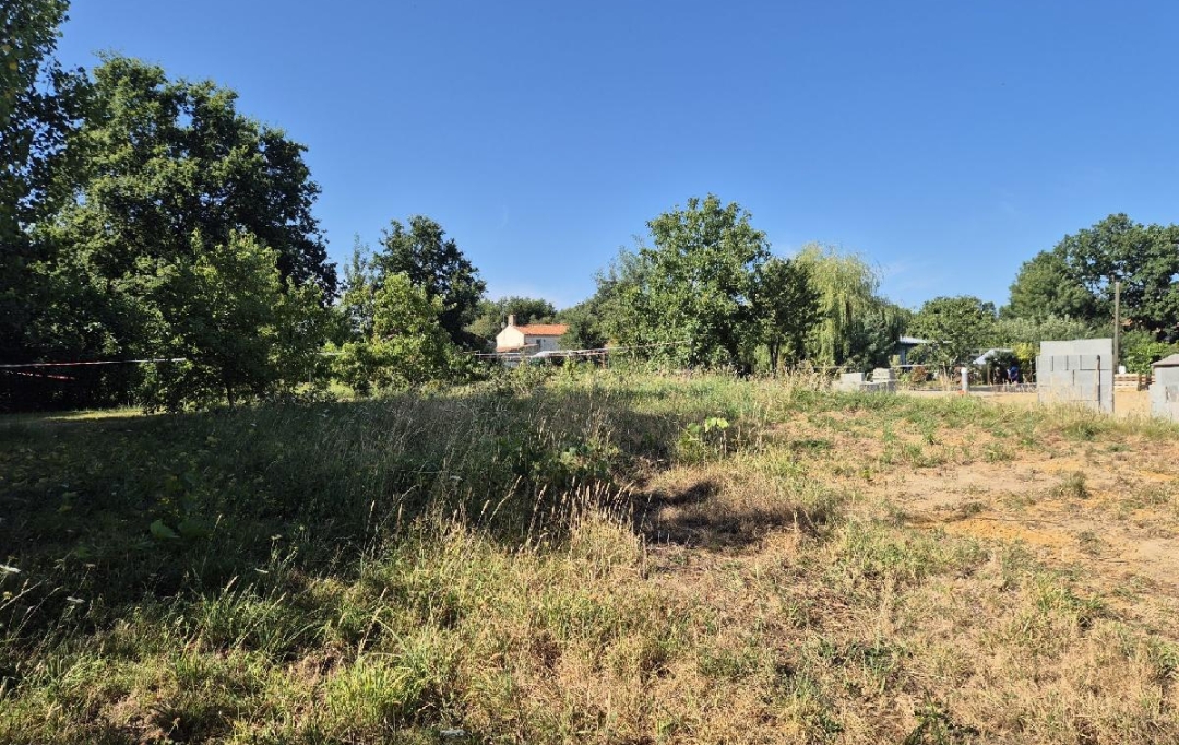 Cote & Sables Immobilier : Terrain | GROSBREUIL (85440) | 508 m2 | 55 500 € 