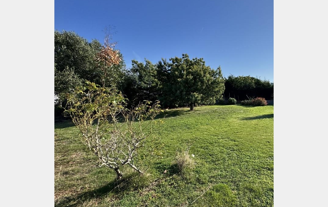 Cote & Sables Immobilier : Terrain | L'ILE-D'OLONNE (85340) | 500 m2 | 119 900 €  Cote & Sables Immobilier : Terrain | L'ILE-D'OLONNE (85340) | 500 m2 | 119 900 €