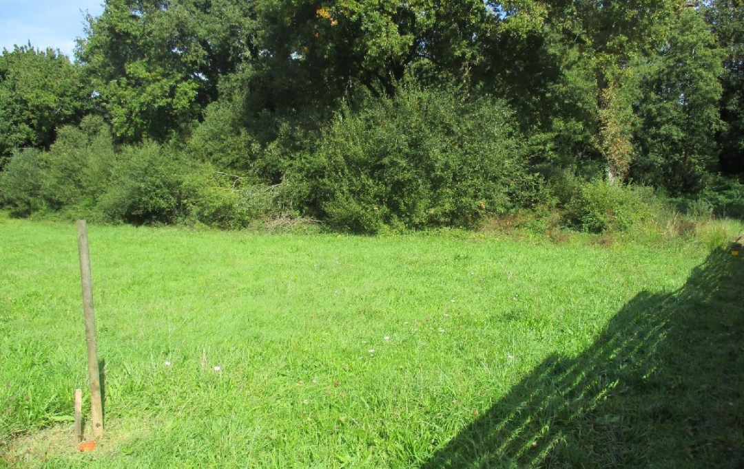 Cote & Sables Immobilier : Terrain | SAINTE-FOY (85150) | 2 348 m2 | 129 900 &euro; 