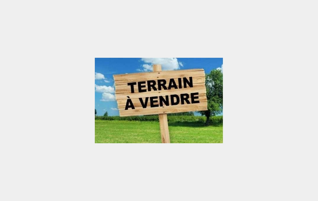 Cote & Sables Immobilier : Terrain | SAINTE-FOY (85150) | 0 m2 | 77 900 € 