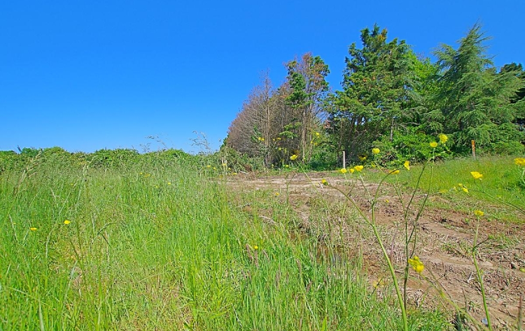 Cote & Sables Immobilier : Ground | L'ILE-D'OLONNE (85340) | 986 m2 | 149 900 € 