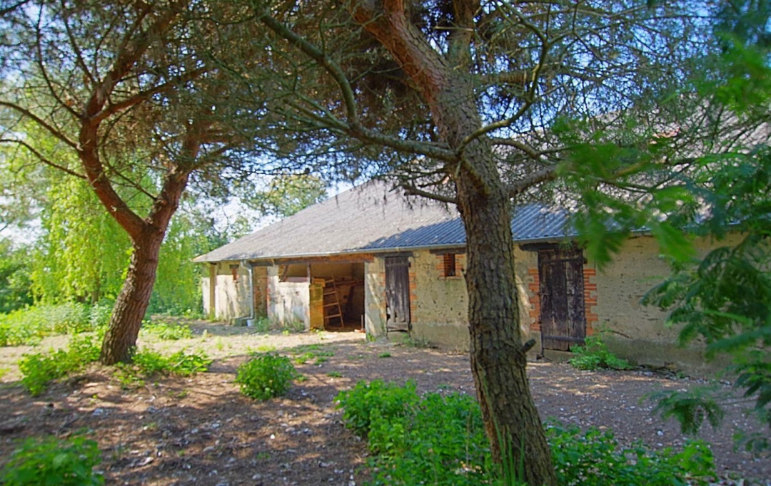 Cote & Sables Immobilier : Maison / Villa | SAINTE-FOY (85150) | 389 m2 | 190 000 € 