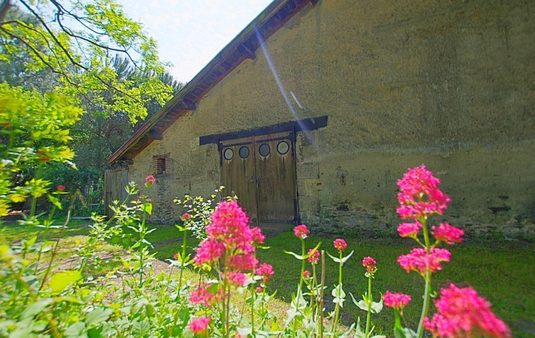 Cote & Sables Immobilier : Maison / Villa | SAINTE-FOY (85150) | 389 m2 | 190 000 € 
