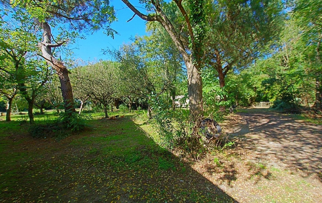 Cote & Sables Immobilier : Maison / Villa | SAINTE-FOY (85150) | 389 m2 | 190 000 € 