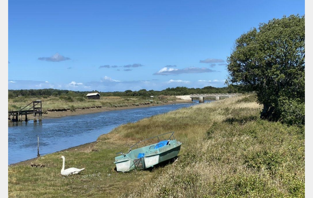 Cote & Sables Immobilier : Terrain | L'ILE-D'OLONNE (85340) | 0 m2 | 20 000 € 