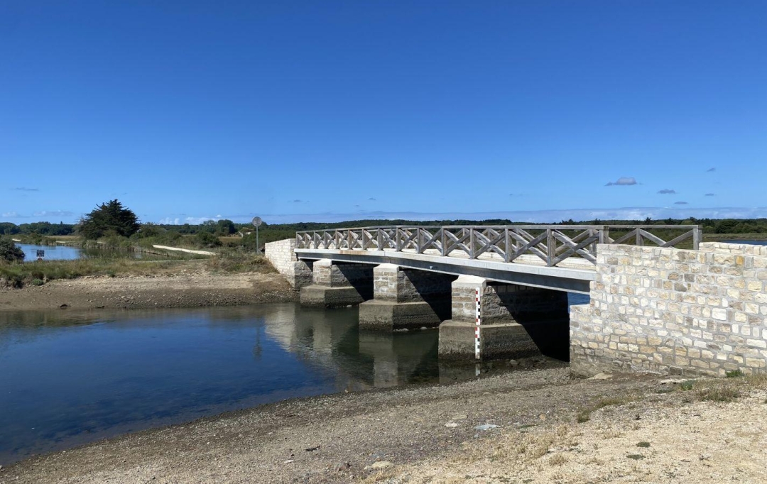 Cote & Sables Immobilier : Terrain | L'ILE-D'OLONNE (85340) | 0 m2 | 20 000 € 