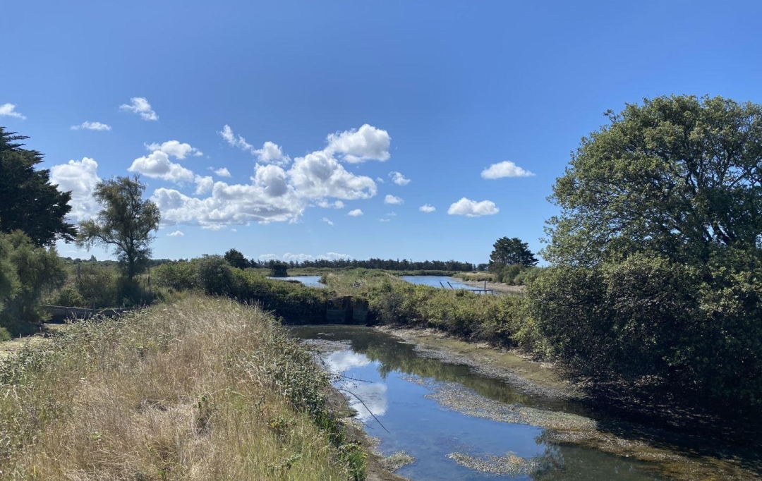 Cote & Sables Immobilier : Terrain | L'ILE-D'OLONNE (85340) | 0 m2 | 20 000 € 
