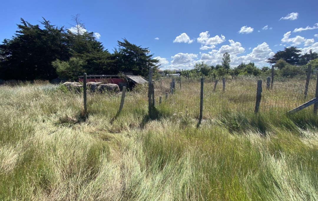 Cote & Sables Immobilier : Terrain | L'ILE-D'OLONNE (85340) | 0 m2 | 20 000 € 