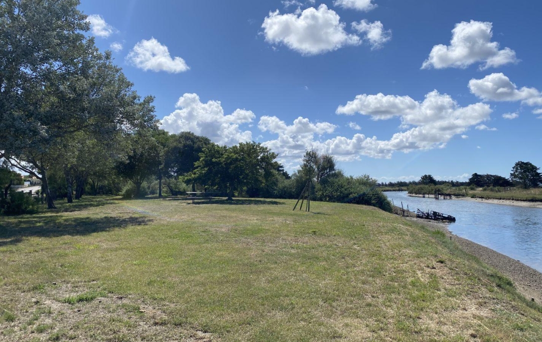 Cote & Sables Immobilier : Terrain | L'ILE-D'OLONNE (85340) | 0 m2 | 20 000 € 