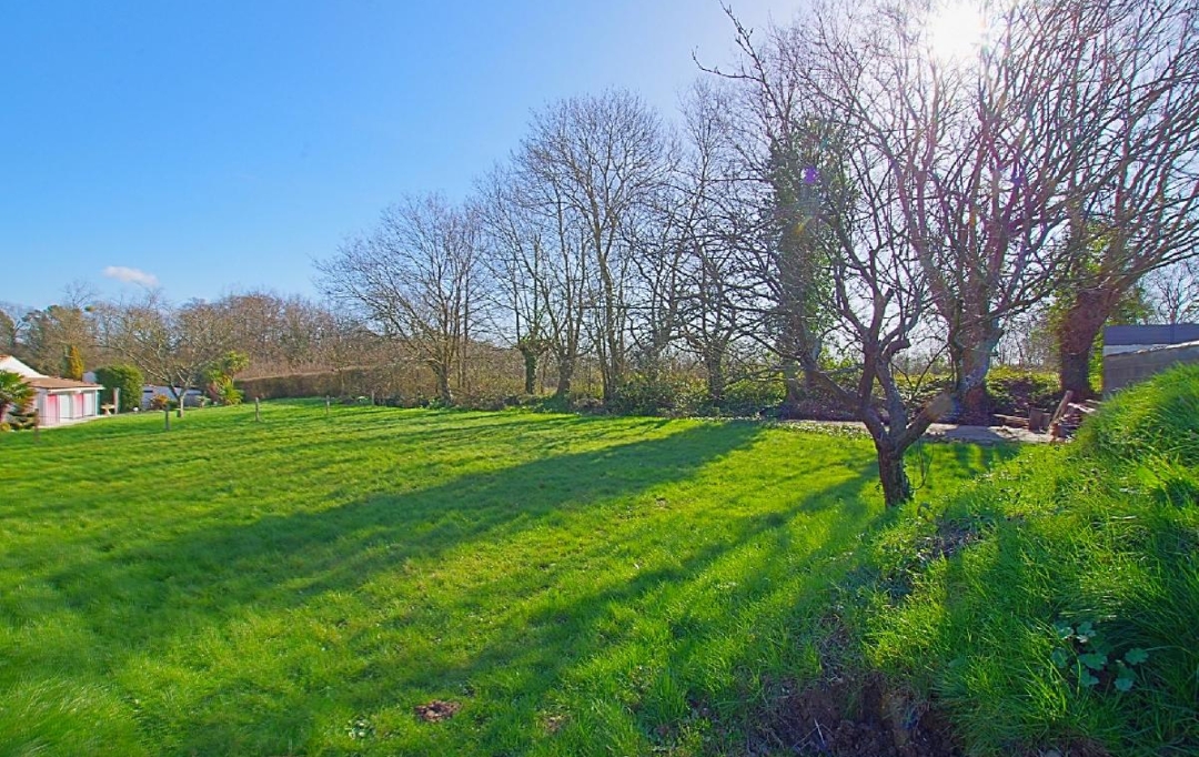 Cote & Sables Immobilier : Terrain | SAINTE-FOY (85150) | 697 m2 | 100 000 € 