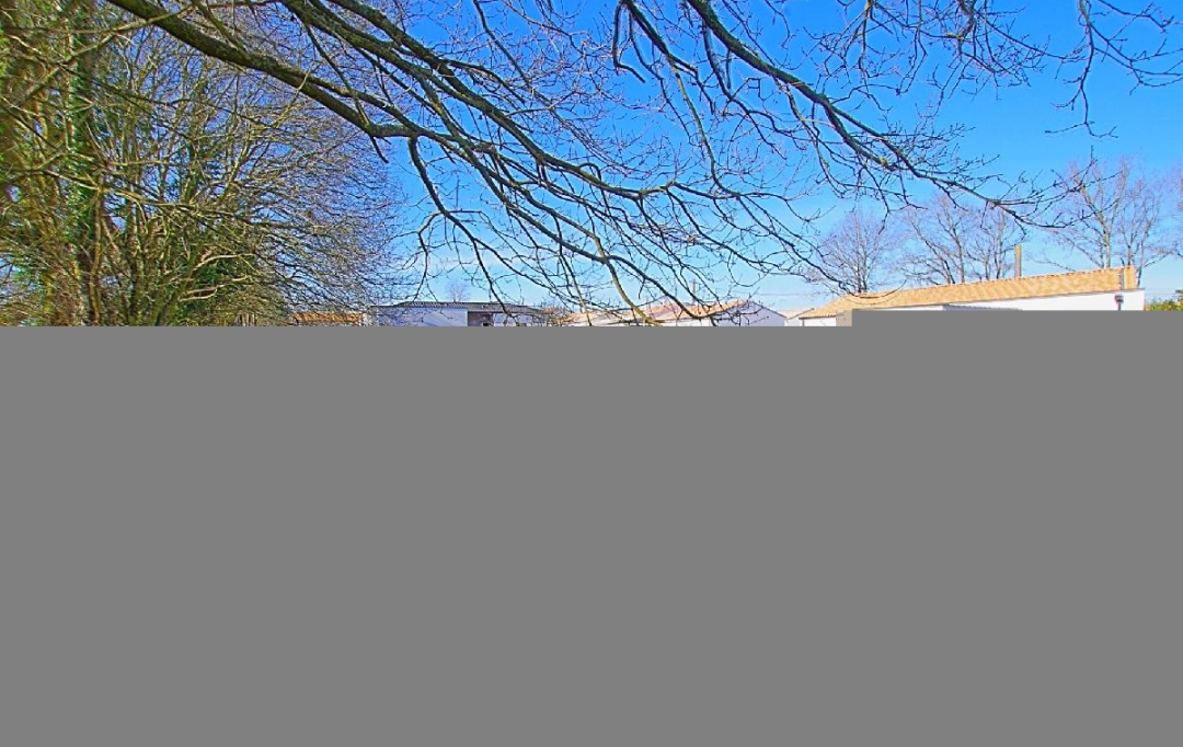Cote & Sables Immobilier : Terrain | SAINTE-FOY (85150) | 697 m2 | 100 000 € 