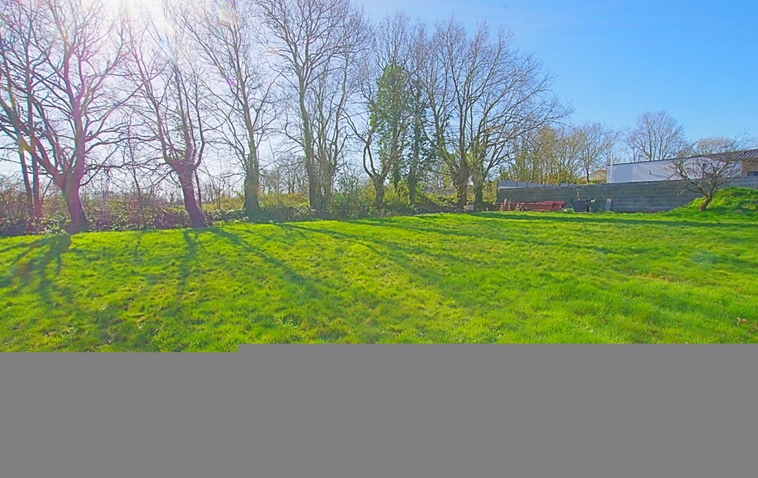 Cote & Sables Immobilier : Terrain | SAINTE-FOY (85150) | 0 m2 | 100 000 € 