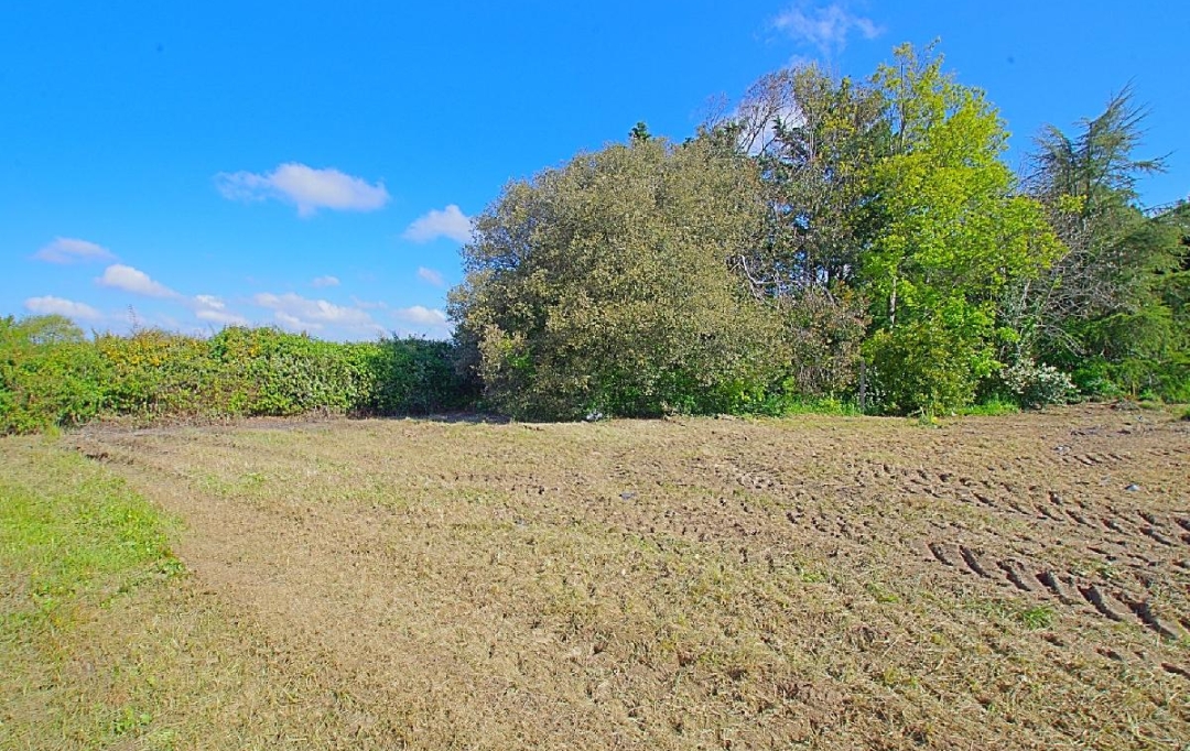 Cote & Sables Immobilier : Terrain | L'ILE-D'OLONNE (85340) | 986 m2 | 149 900 € 
