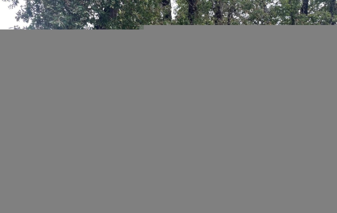 Cote & Sables Immobilier : Terrain | SAINTE-FOY (85150) | 712 m2 | 89 000 € 