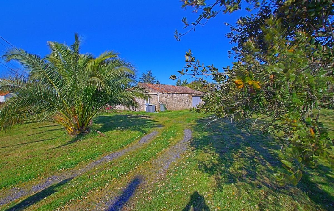Cote & Sables Immobilier : Maison / Villa | SAINTE-FOY (85150) | 104 m2 | 242 000 € 