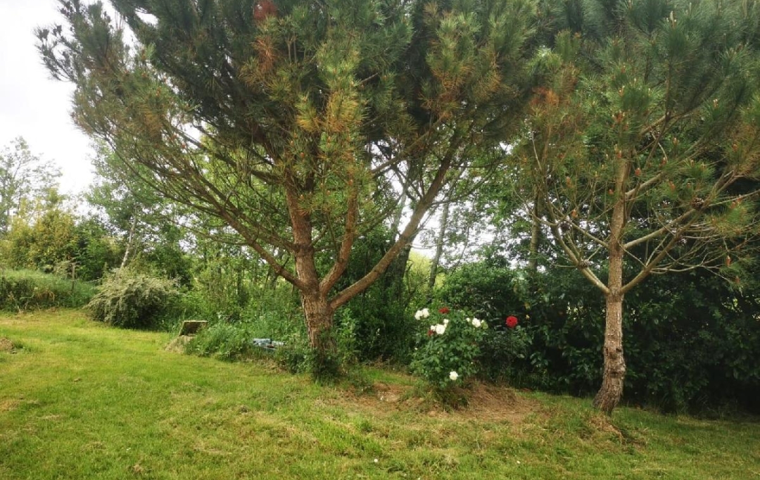 Cote & Sables Immobilier : Terrain | TALMONT-SAINT-HILAIRE (85440) | 9 295 m2 | 69 900 € 