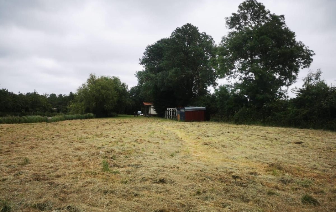 Cote & Sables Immobilier : Terrain | TALMONT-SAINT-HILAIRE (85440) | 9 295 m2 | 69 900 € 