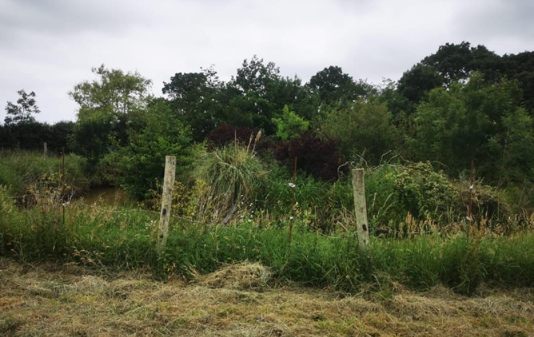 Cote & Sables Immobilier : Terrain | TALMONT-SAINT-HILAIRE (85440) | 9 295 m2 | 69 900 € 