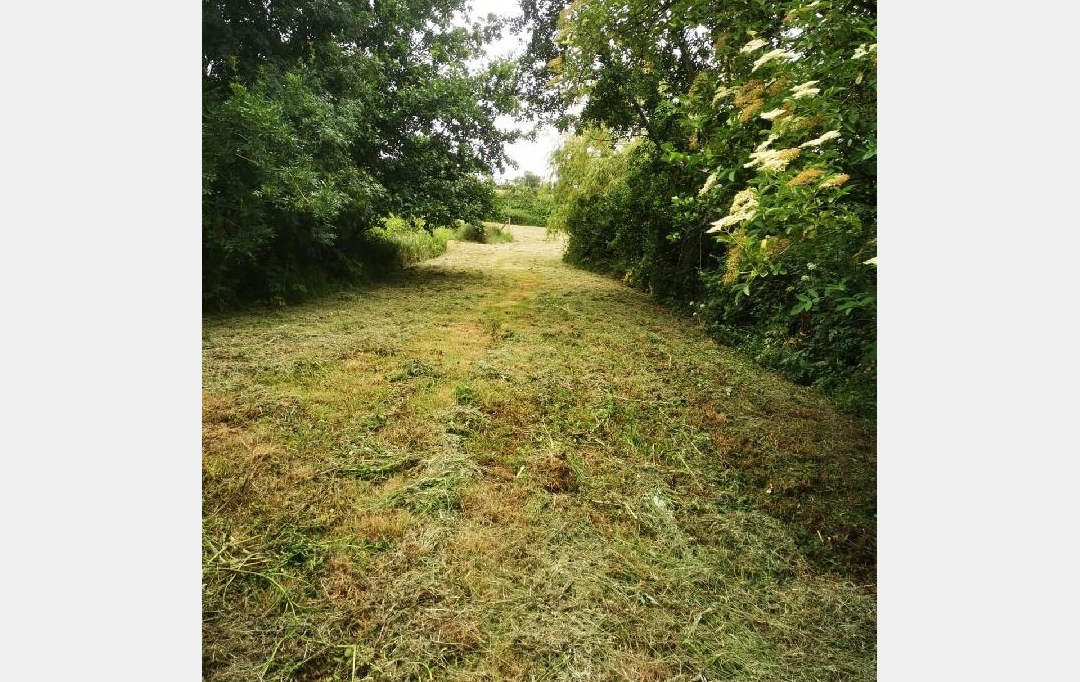Cote & Sables Immobilier : Terrain | TALMONT-SAINT-HILAIRE (85440) | 9 295 m2 | 69 900 € 