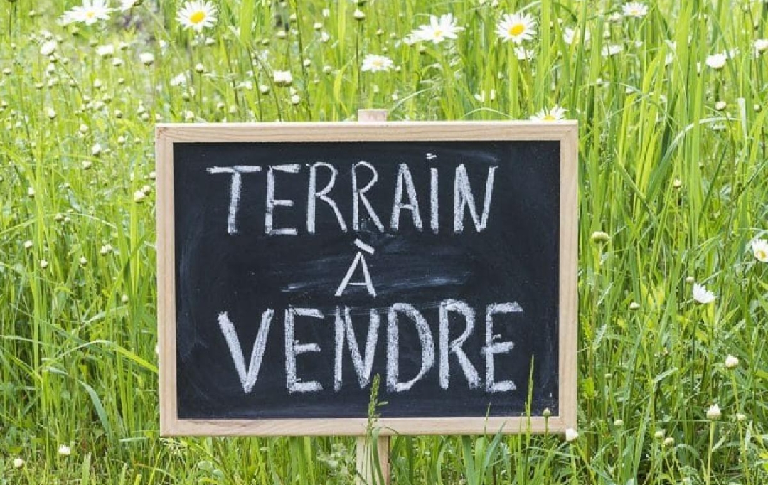 Cote & Sables Immobilier : Ground | GROSBREUIL (85440) | 461 m2 | 55 500 € 