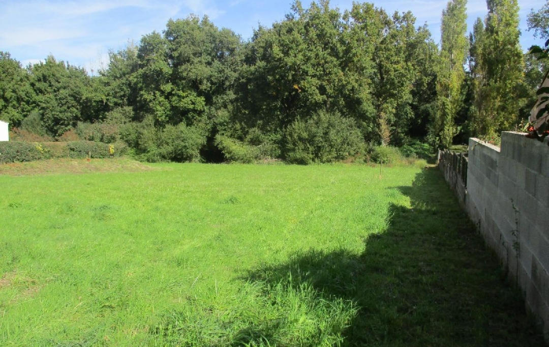 Cote & Sables Immobilier : Ground | GROSBREUIL (85440) | 2 348 m2 | 169 900 € 