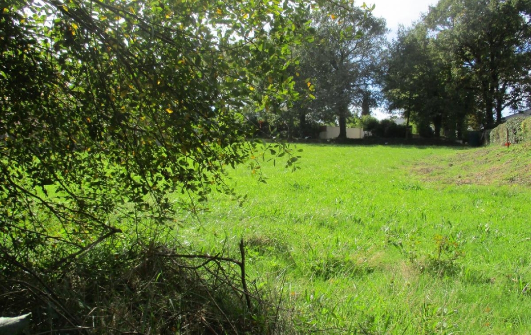 Cote & Sables Immobilier : Terrain | SAINTE-FOY (85150) | 750 m2 | 159 900 € 