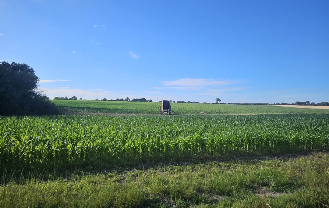 Cote & Sables Immobilier : House | SAINT-MATHURIN (85150) | 117 m2 | 334 900 &euro; 