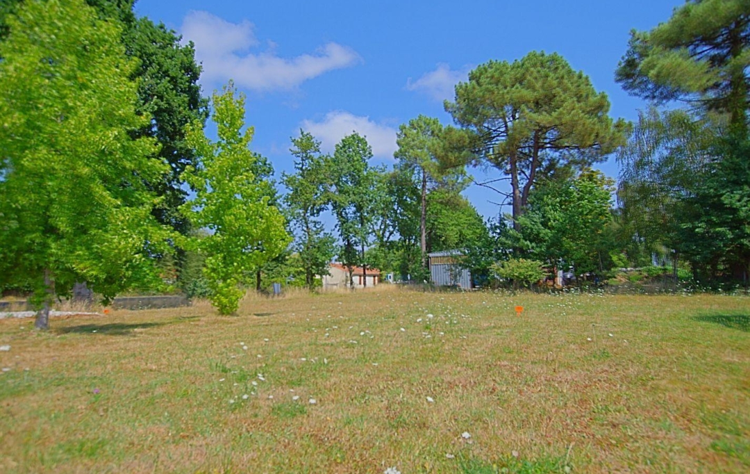 Cote & Sables Immobilier : Terrain | SAINTE-FOY (85150) | 0 m2 | 126 900 € 