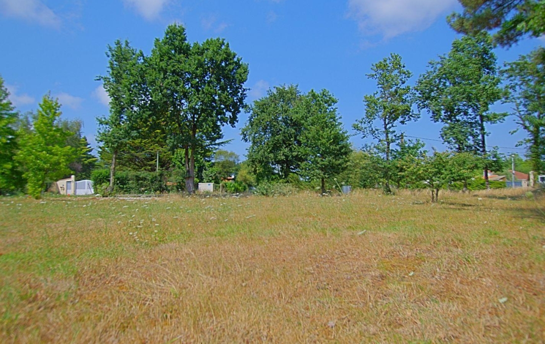 Cote & Sables Immobilier : Terrain | SAINTE-FOY (85150) | 0 m2 | 126 900 € 