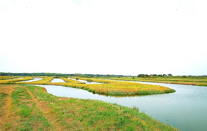  Cote & Sables Immobilier Terrain | L'ILE-D'OLONNE (85340) | 33 500 m2 | 35 900 € 