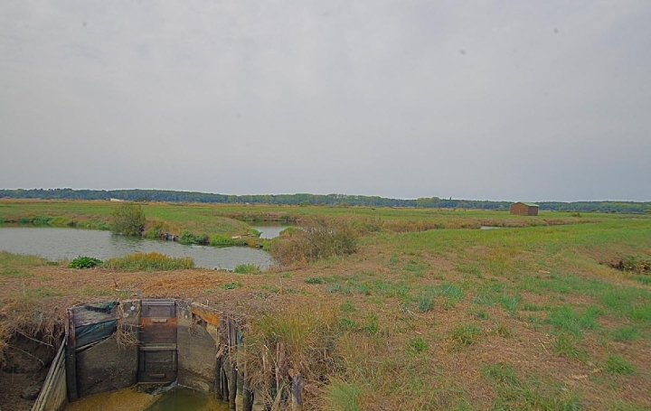 Cote & Sables Immobilier : Ground | L'ILE-D'OLONNE (85340) | 33 500 m2 | 35 900 € 