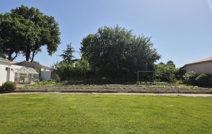  Cote & Sables Immobilier Terrain | SAINTE-FOY (85150) | 533 m2 | 90 000 € 