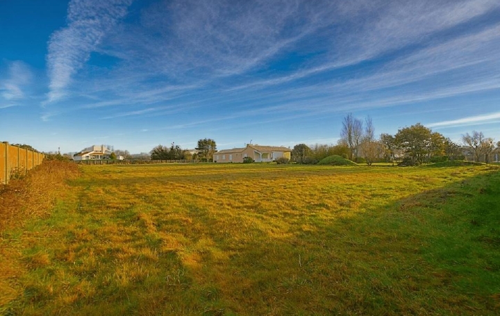 Cote & Sables Immobilier Terrain | L'ILE-D'OLONNE (85340) | 3 305 m2 | 182 900 € 