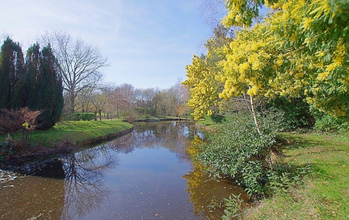 Cote & Sables Immobilier : Maison / Villa | SAINTE-FOY (85150) | 170 m2 | 630 000 € 