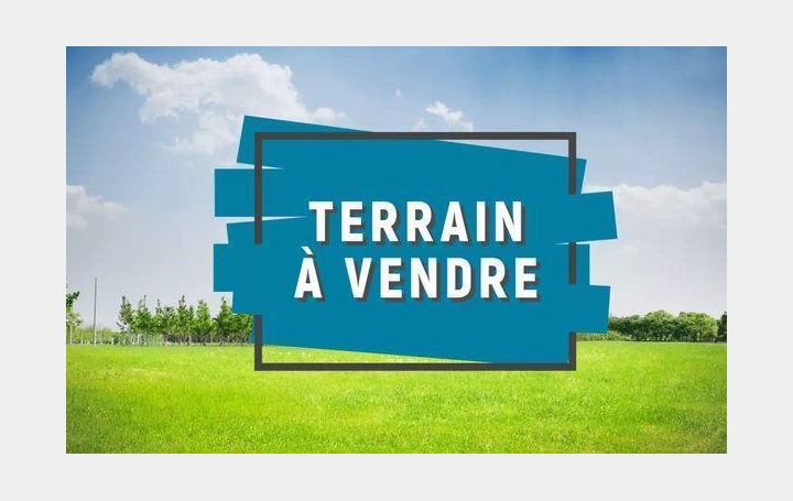 Cote & Sables Immobilier : Terrain | SAINTE-FOY (85150) | 0 m2 | 78 000 € 