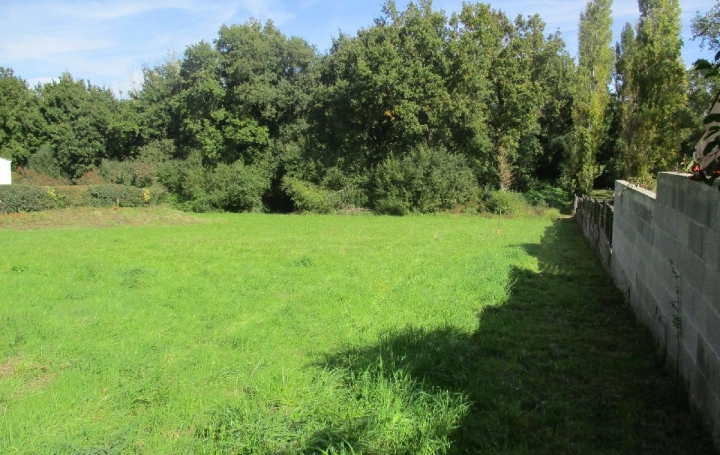  Cote & Sables Immobilier Terrain | GROSBREUIL (85440) | 2 348 m2 | 169 900 € 