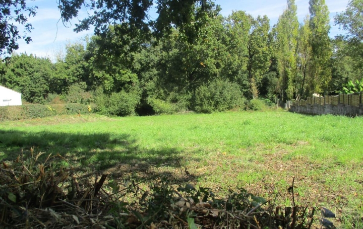  Cote & Sables Immobilier Terrain | GROSBREUIL (85440) | 750 m2 | 159 900 € 