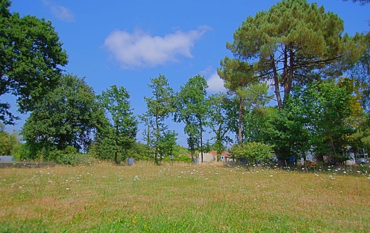 Terrain SAINTE-FOY 126 900 € Terrain SAINTE-FOY 126 900 €